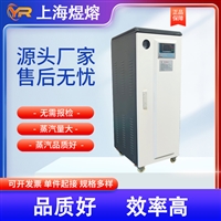 24-36KW电蒸汽锅炉 全自动电加热蒸汽发生器